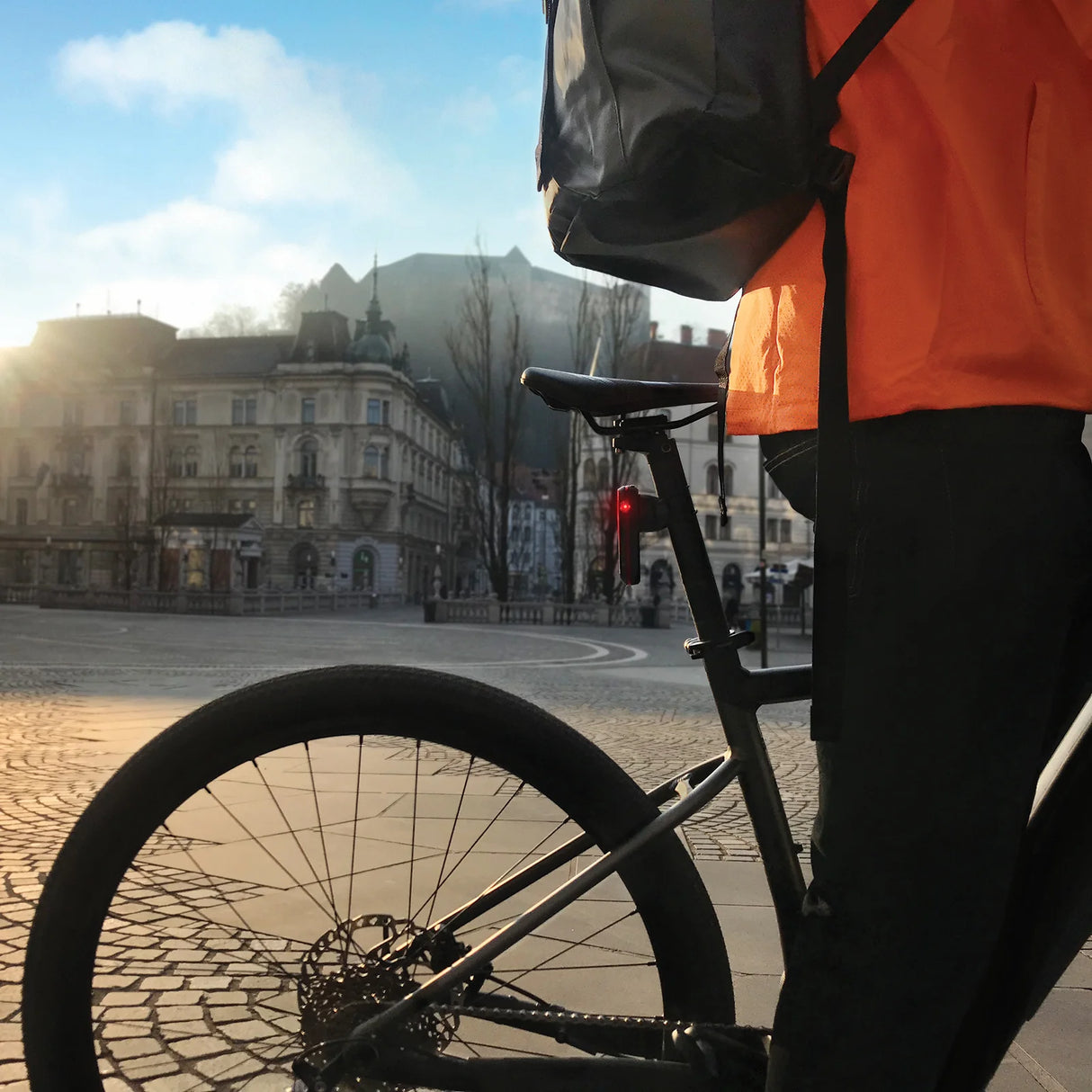 Garmin Varia baglygte RTL516