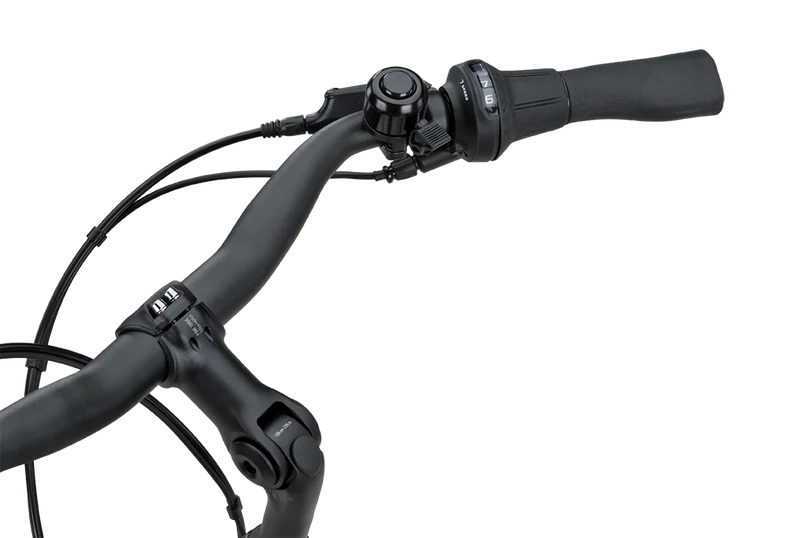 Batavus Altura CP Plus