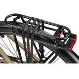 Batavus Senz Exclusive DN7