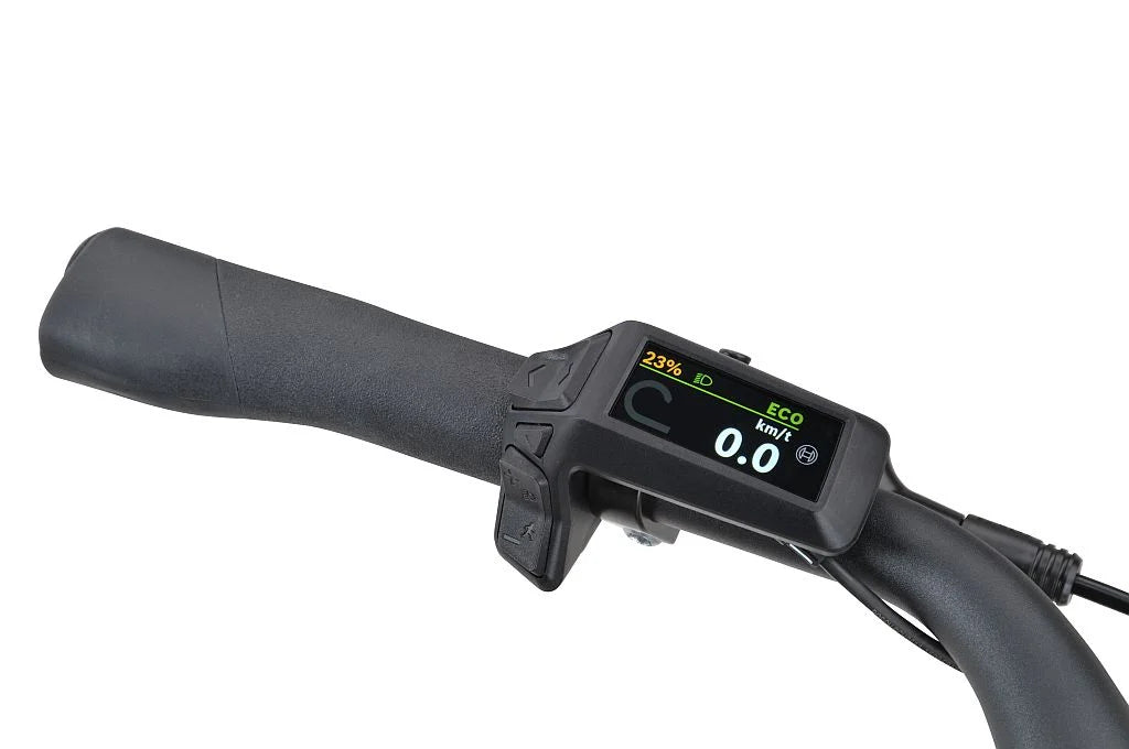 Batavus ALTURA CP CITY DK low step